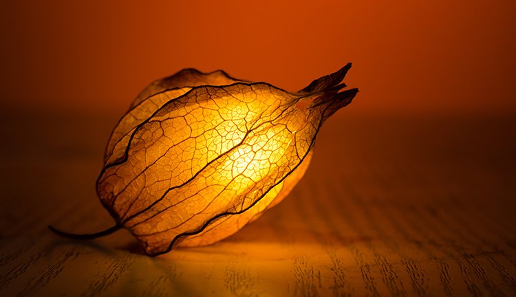 ������Ϸ(�й�)-�ٷ���վ