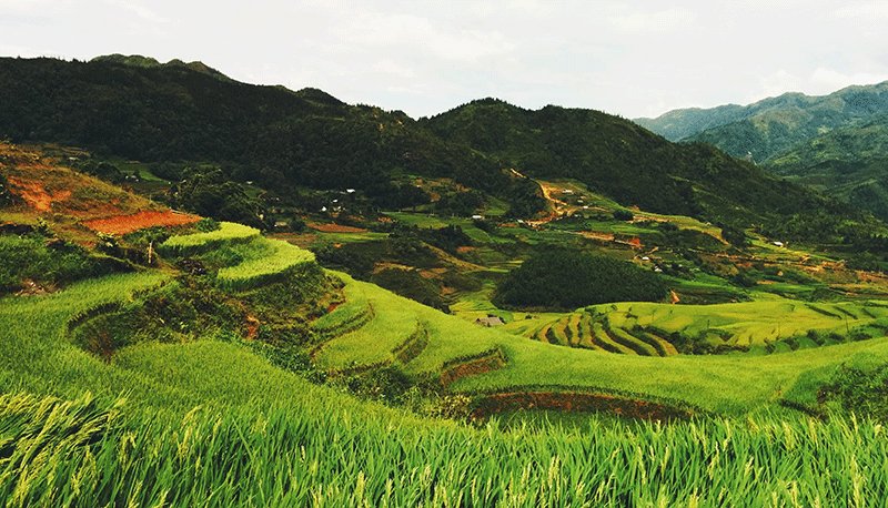 ������Ϸ(�й�)-�ٷ���վ