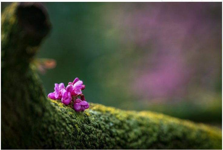 ������Ϸ(�й�)-�ٷ���վ