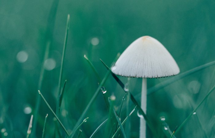 ������Ϸ(�й�)-�ٷ���վ