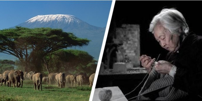 ������Ϸ(�й�)-�ٷ���վ